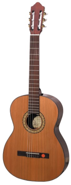 pro natura Gitarren